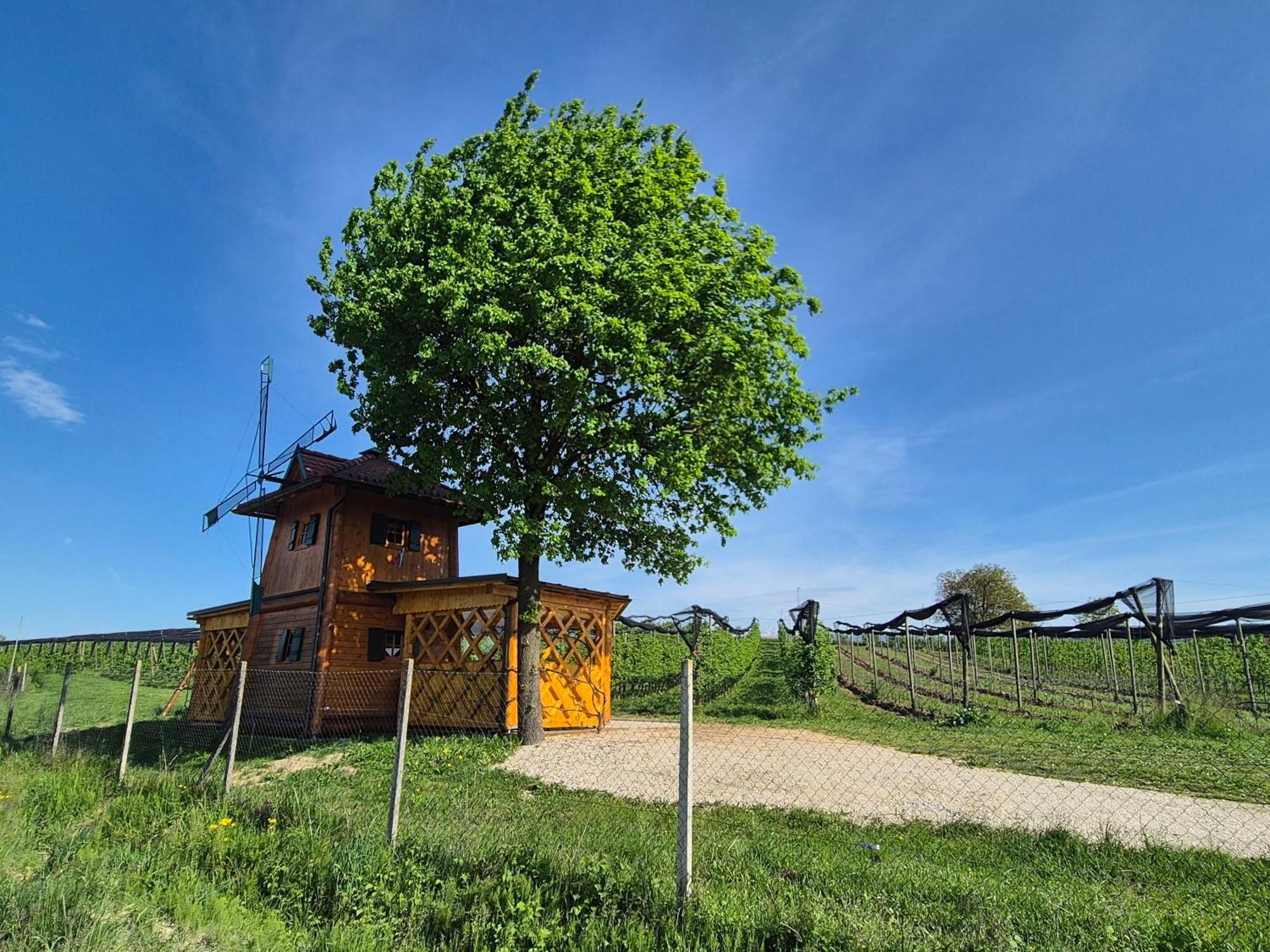 Unique Wooden Holiday House In Nature Lukovica pri Domžalah Exterior foto